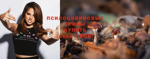 каннабис Богородицк